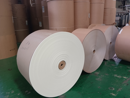 Waterproof PE Coated Paper Roll For Making Tea cups Custome Printing
