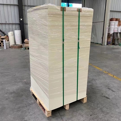 Waterproof Film Laminated Paper Cup Sheet 150-300gsm 1-6 Colors Printing for Customized Packaging Solutions