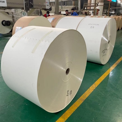 Eco-friendly Double Side PE Coated Paper Roll For Disposable Tea Cups Logo Custom