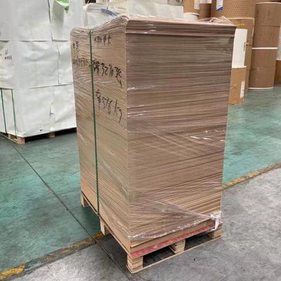 Waterproof PE Coated Paper Cup Sheet Eco Friendly Biodegradable Fans for Flexo Offset Printing