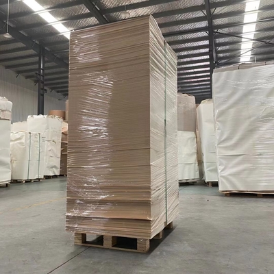 Waterproof PE Coated Paper Cup Sheet Eco Friendly Biodegradable Fans for Flexo Offset Printing