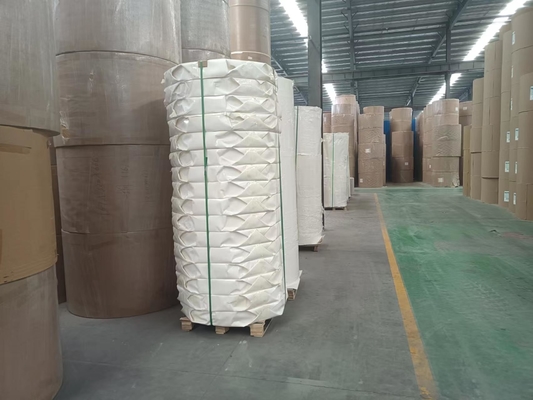 Double PE Paper Cup Bottom Roll Disposable For Cold Drinking
