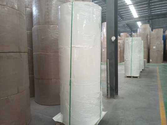 Double PE Paper Cup Bottom Roll Disposable For Cold Drinking