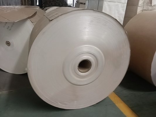 White/Brown Wood Pulp PE Coated Kraft Paper Single/Double Side Heat Resistant up to 120.C