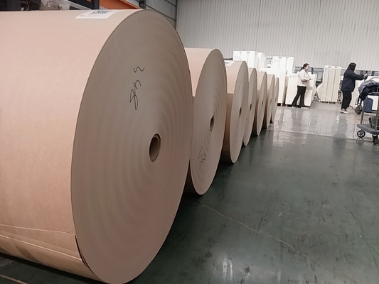 Biodegradable Paper Cup With 12gsm PE Coating 170g-350g GSM Virgin Pulp SGS Certified