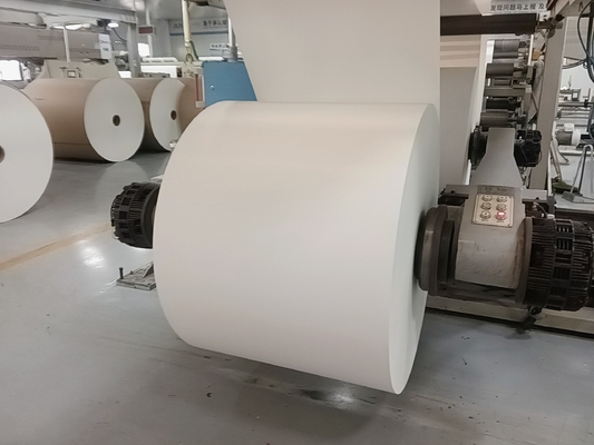 150-320GSM PE Coated Paper Roll Cup Sock Cup Paper SGS Certified