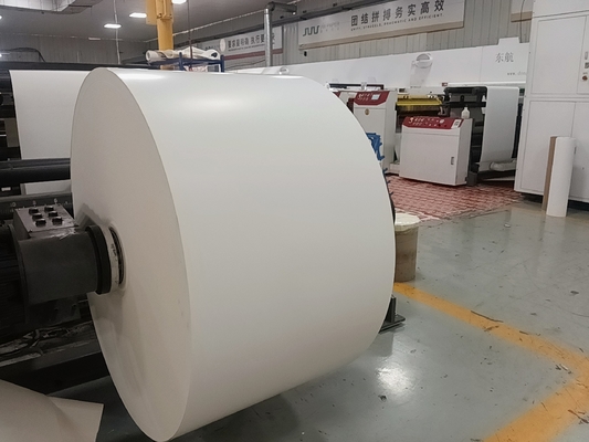 150-320GSM PE Coated Paper Roll Cup Sock Cup Paper SGS Certified