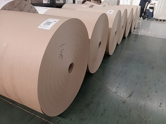 150-320GSM PE Coated Paper Roll Cup Sock Cup Paper SGS Certified