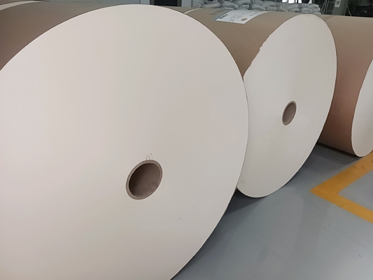 150-320GSM PE Coated Paper Roll Cup Sock Cup Paper SGS Certified