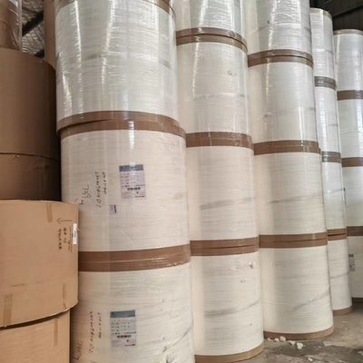 Eco-friendly PE Coated Paper Roll With Customized Size And Printing