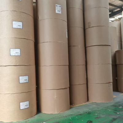 Eco-friendly Double Side PE Coated Paper Roll For Disposable Tea Cups Logo Custom