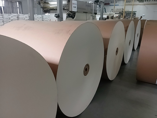 Scratch Resistant 190G Bristol Card Paper