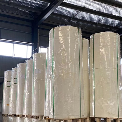 Offset Flexo Polyethylene Coated Paper 300g Lamination Paper Roll