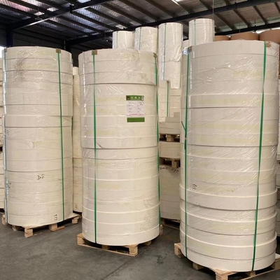 High Bulk Paper Cup Bottom Roll PE Protective Film Virgin Wood Pulp