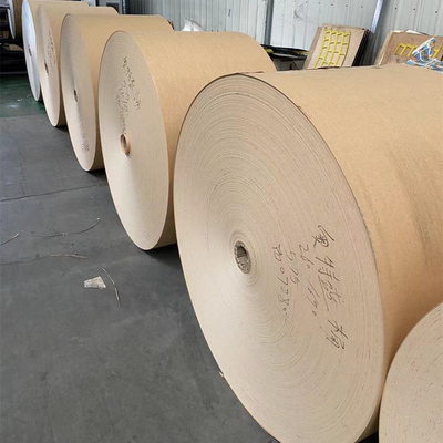 SGS 350gsm+20gsm PE Coated Kraft Paper Tea Cup Raw Material