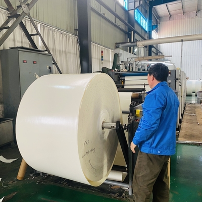150g To 300g Paper Cup Making Raw Material Flexographic PE Paper Roll