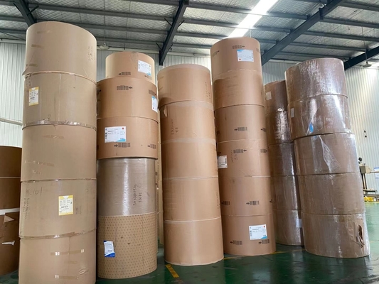 Single Wall PE Coated Paper Roll 350+12g Paper Cup Raw Material