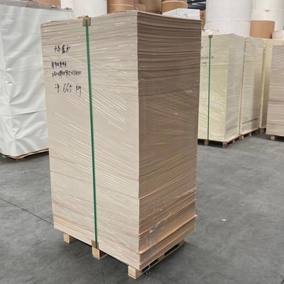 Waterproof 300 Gram PE Coated Paper In Sheet