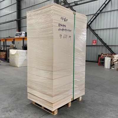 Waterproof 300 Gram PE Coated Paper In Sheet