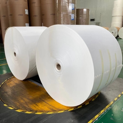 Salad Bowl 150+10g PE Coated Paper In Roll 2600mm Reel Width