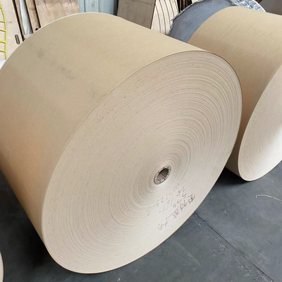 Bio Disposable 280gsm PE Coated Kraft Paper Roll For Salad Bowl