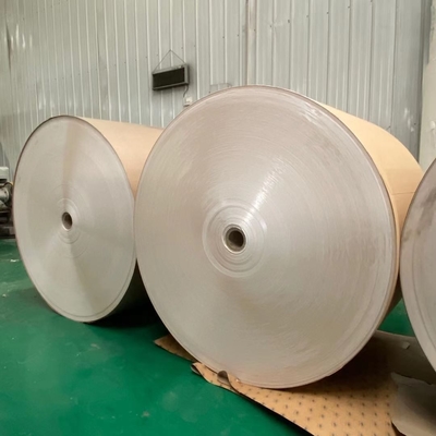 Bio Disposable 280gsm PE Coated Kraft Paper Roll For Salad Bowl