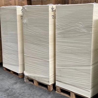 Waterproof Single PE Coated Paper Cup Sheet Film Lamination