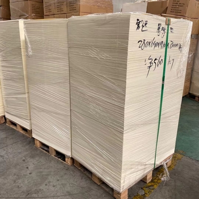 Waterproof Single PE Coated Paper Cup Sheet Film Lamination