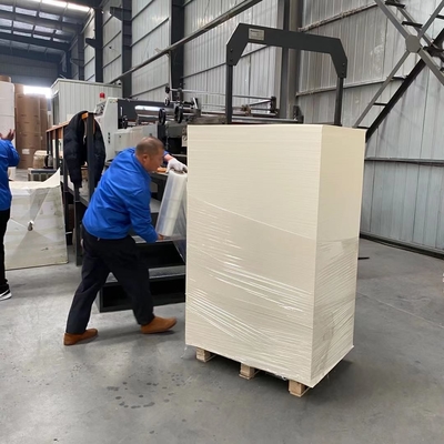 Biodegradable 800mm Flat Paper Cup Sheet 230 Gram 100 Virgin Wood Pulp