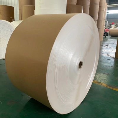 Food Grade PE Waterproof Coated Paper Roll 150 Gram ~ 350 Gram