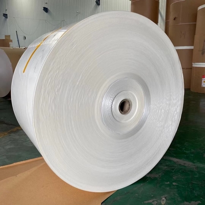Food Grade PE Waterproof Coated Paper Roll 150 Gram ~ 350 Gram