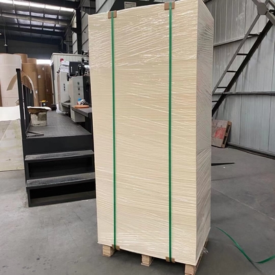 High Bulk Paper Cup Sheet 340g PE Coated 12gsm Waterproof
