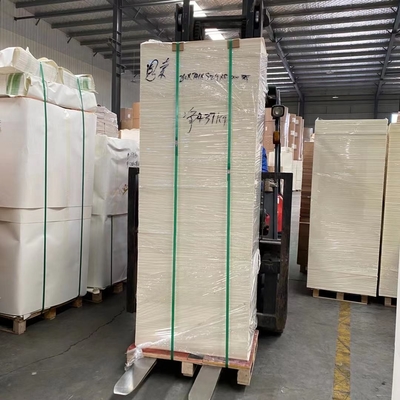 230gsm+15gsm PE Paper Cup Sheet Oil Proof PE Coated Paper Sheet
