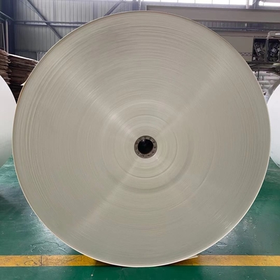 Ivory Polyethylene Coated Kraft Paper 300g 330g Polythene Paper Roll