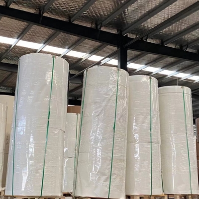 White 12gsm Polyethylene Coated Paper Cup Raw Material Specification 300G