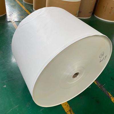 300Gram Waterproof Coated Paper Roll Paper Cup Raw Material