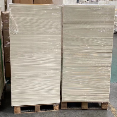 Disposable High Bulk Paper Cup Sheet 135g To 340g PE Coated