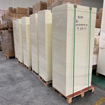 Wooden Virgin High Quality PE Coated Paper In Sheet for Paper Cup/Bowl