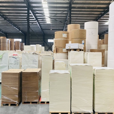 Greaseproof Single PE Coated Paper Cup Sheet 300mm-1600mm Width