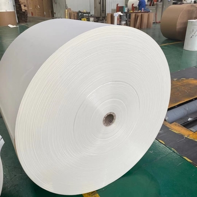 Dia 1200mm Cup Stock Paper Raw Material Required For Paper Cup Manufacturing