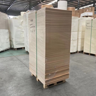 165gram 185gram Paper Cup Sheet Paper Cup Making Raw Material