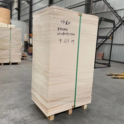165gram 185gram Paper Cup Sheet Paper Cup Making Raw Material