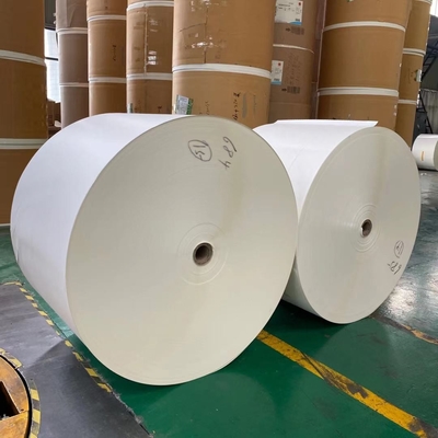 210gram 250gram Ivory Board Paper Single Or Double PE Coated Paper Roll