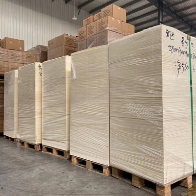 Disposable High Bulk Paper Cup Sheet 135g To 340g PE Coated