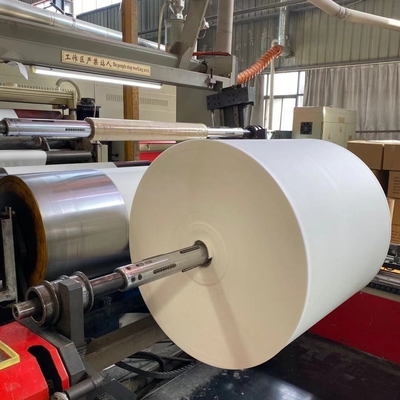 PE Coated Paper Cup Raw Material Specification 550mm-1200mm Width