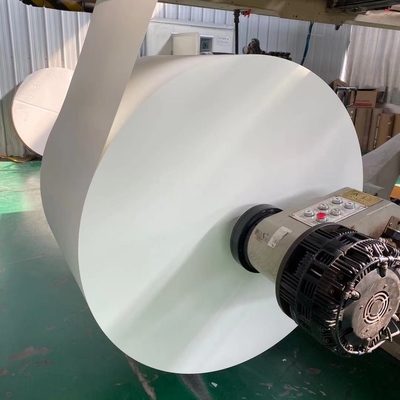 Laminated PE Coated Paper In Roll 160g 170g paper cup raw material
