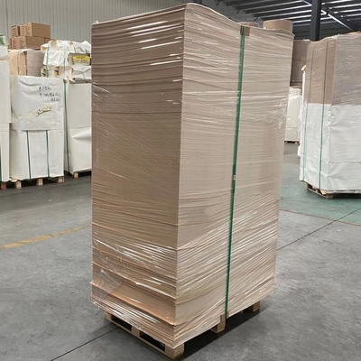 Oilproof  PE Coated Kraft Paper 100% Virgin Wood Pulp For Bowl