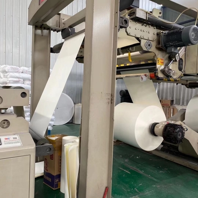 Flexography 160g 6oz Paper Cup Making Raw Material 500-1300mm Width