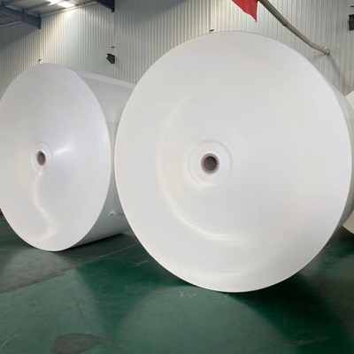 Bio Degradable PE Paper Roll 185 Grammage Paper Cup Raw Material