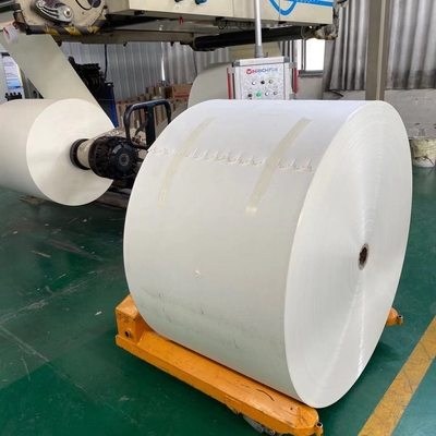 150gsm+15g PE Paper Roll 130cm Paper Tea Cup Raw Material